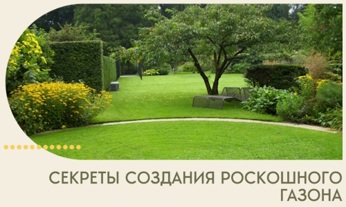 Секреты создания роскошного газона в Нурлате