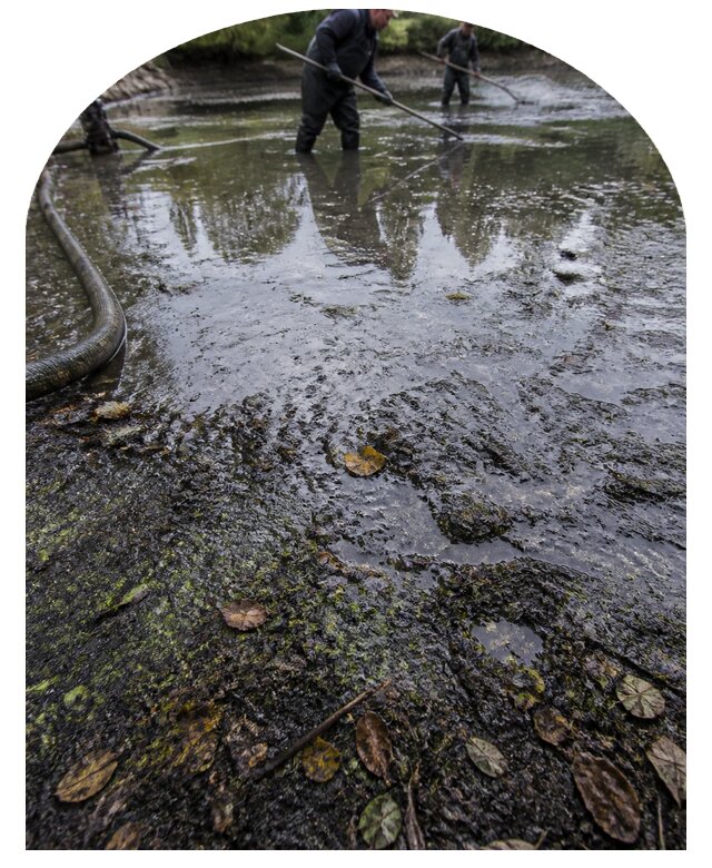 Очистка пруда в Нурлате от ила мусора и водорослей с вывозом